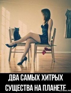 <b>Название: </b>два хитрых существа-женщина-кошка, <b>Добавил:<b> bcd<br>Размеры: 481x541, 44.0 Кб